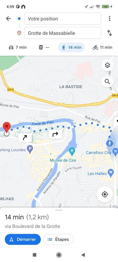 Hotel Du Commerce Et De Navarre Lourdes Esterno foto